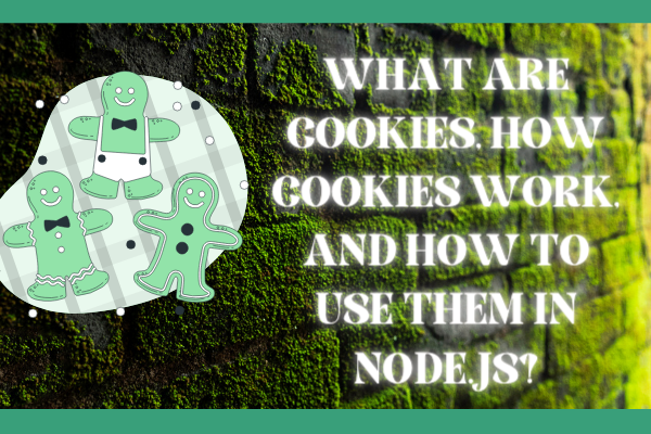 Understanding Cookies and Implementing them in Node.js