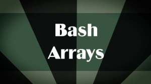 Working with Bash Arrays