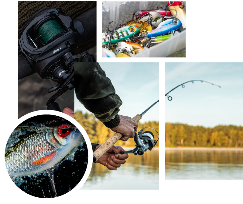 Casestudy Angling Direct Banner