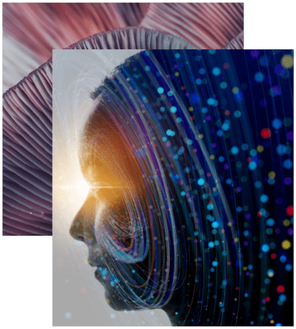 Why-Webscale-Observability