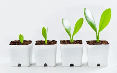 Webscale Secures $26M in Funding to Fuel Ecommerce Cloud and Growth