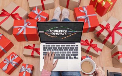 Holiday Season 2019: What Online Merchants are Expecting…