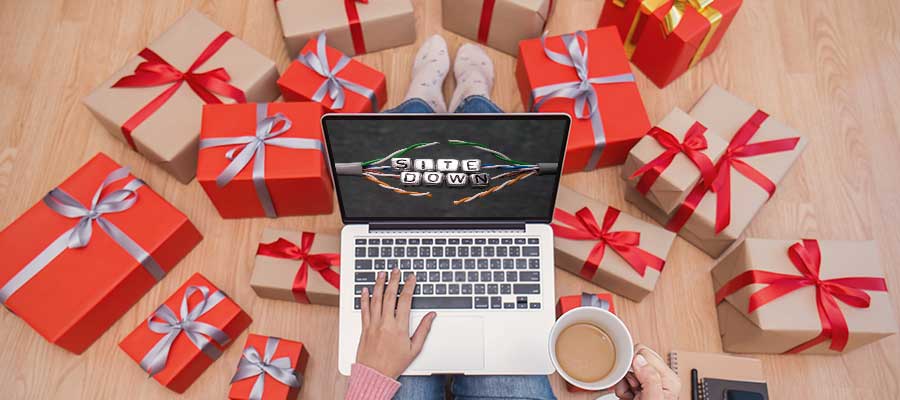 Holiday Season 2019: What Online Merchants are Expecting…