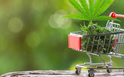 Online Brand Store or Online Marketplace or Both? How Can Cannabis Merchants Decide?