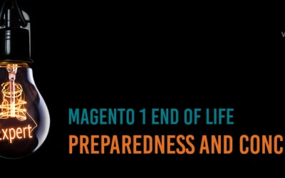 9 Top Ecommerce Developers Comment on Magento 1 EOL Preparedness and Concerns